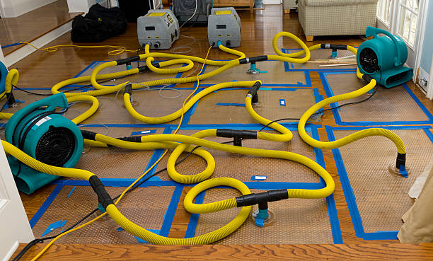 Professional Crawl Space Water Removal technician working in Russell, KY